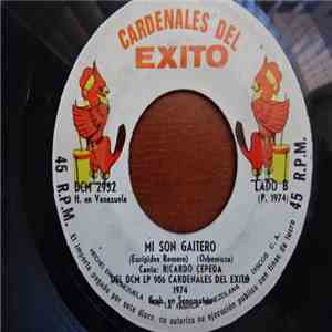 Cardenales Del Exito - El Diablo/Mi son Gaitero download flac mp3