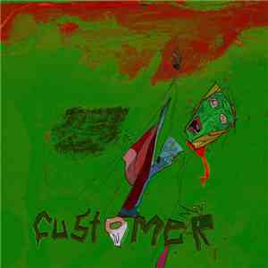 Customer - Video Insanity download flac mp3