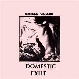 Daniele Ciullini - Domestic Exile Collected Works 82​-​86 download flac mp3