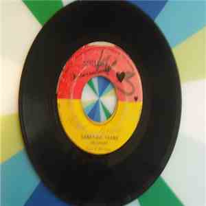Dellinger - Sanatone Skank download flac mp3