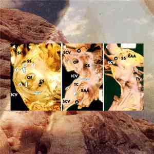 Imaginary Forces  - Metonym download flac mp3