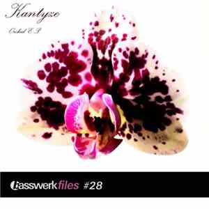 Kantyze - Orchid E.P. download flac mp3