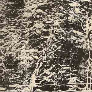 Spitting Falcons - White Mist download flac mp3