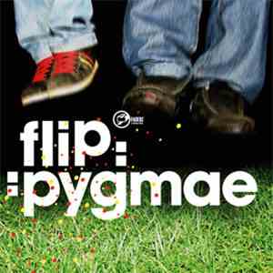 Flip  - Pygmae download flac mp3