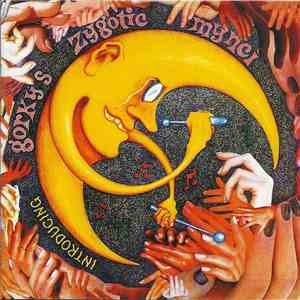 Gorky's Zygotic Mynci - Introducing download flac mp3