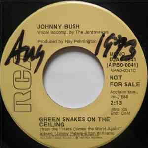 Johnny Bush - Green Snakes On The Ceiling / Drinkin' My Baby Right Out Of May Mind download flac mp3