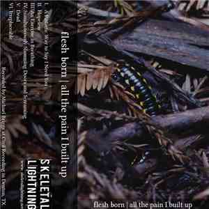 Flesh Born - All The Pain I've Built Up download flac mp3