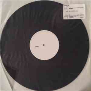 IN.SI.DIA - Istinto E Rabbia download flac mp3