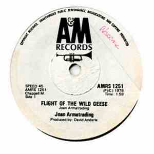 Joan Armatrading - Flight Of The Wild Geese download flac mp3