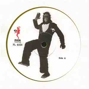 King Kong & The Djungle Girls - Lies flac mp3 download
