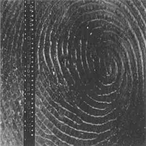 Mordant  - Mordant download flac mp3