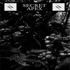 Secret Apex - Secret Apex download flac mp3