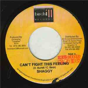 Shaggy - Can't Fight This Feeling download flac mp3