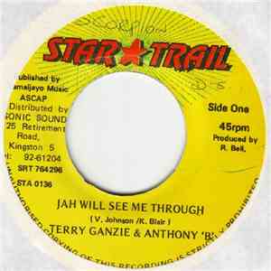Terry Ganzie & Anthony 'B' - Jah Will Se Me Through download flac mp3