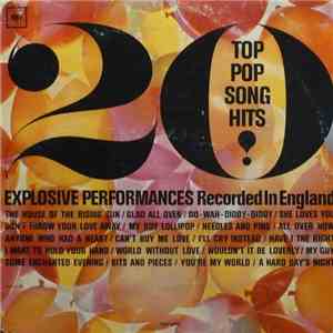 Various - 20 Top Pop Song HIts! download flac mp3
