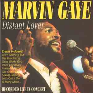 Marvin Gaye - Distant Lover download flac mp3