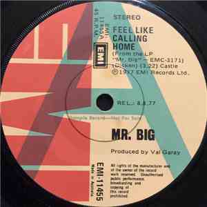 Mr Big - Feel Like Calling Home download flac mp3