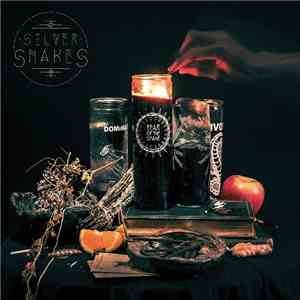 Silver Snakes - Year Of The Snake download flac mp3