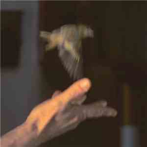 Ulro - Mind Dust download flac mp3