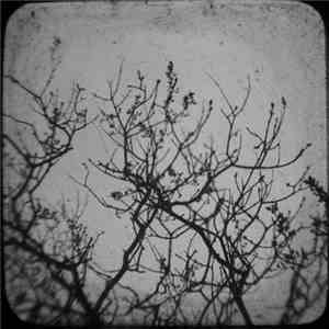 Various - Nighttime Echoes download flac mp3