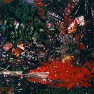 Xrin Arms - Olive Juice download flac mp3