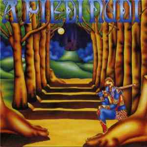 A Piedi Nudi - A Piedi Nudi download flac mp3
