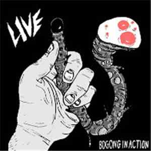 Bogong In Action - Live download flac mp3