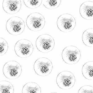 Lost Trail / Theo's Mystic Robot Orchestra - Split download flac mp3