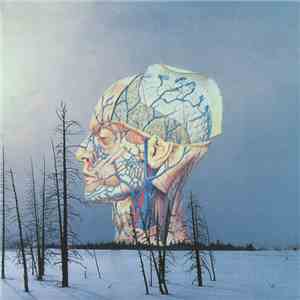 Low - Songs For A Dead Pilot download flac mp3