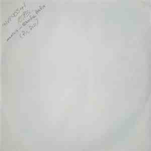 Marilyn Manson - The Beautiful People download flac mp3