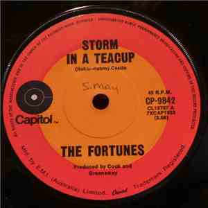 The Fortunes - Storm In A Teacup download flac mp3