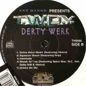T.W.D.Y. - Derty Werk download flac mp3