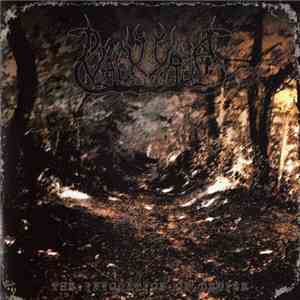 Valkyrja - The Invocation Of Demise download flac mp3