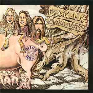 Black Oak Arkansas - High On The Hog download flac mp3
