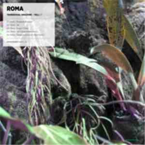 Roma - Transexual Amazone/Fall EP download flac mp3