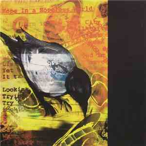 Widespread Panic - Hope In A Hopeless World download flac mp3