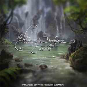 Kava Kon / The Kilimanjaro Darkjazz Ensemble - Palace Of The Tiger Women download flac mp3