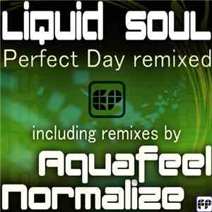 Liquid Soul  - Perfect Day Remixed download flac mp3
