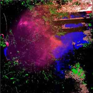 The Legendary Pink Dots - 12 Steps Off The Path download flac mp3