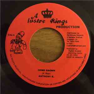 Anthony B. / Mark Messam a.k.a. Shadowz - Home Grown / How Long download flac mp3