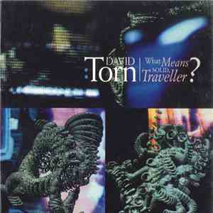 David Torn - What Means Solid, Traveller? flac mp3 download