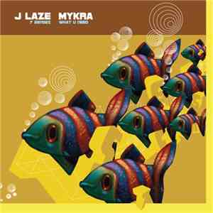 J Laze / Mykra - 7 Sensez / What U Need download flac mp3
