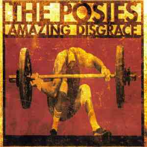 The Posies - Amazing Disgrace download flac mp3