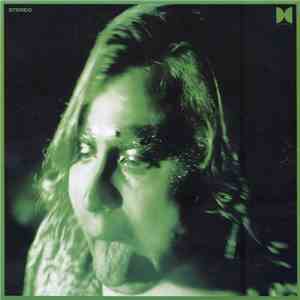 Ty Segall - Would You Be My Love download flac mp3