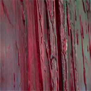 E Aktion - Whole download flac mp3