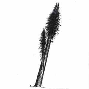 hanging moss - Quiet Songs Vol. 1 download flac mp3