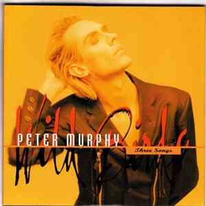 Peter Murphy - Three Songs download flac mp3