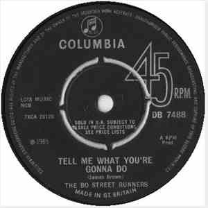 Bo Street Runners - Tell Me What You're Gonna Do download flac mp3