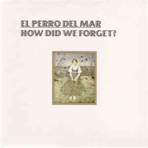 El Perro Del Mar - How Did We Forget? download flac mp3