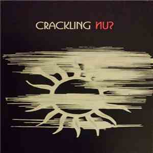 Various - Crackling Sun download flac mp3